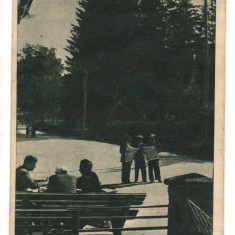 CPI (B8189) CARTE POSTALA - BORSEC. IN PARC, RPR