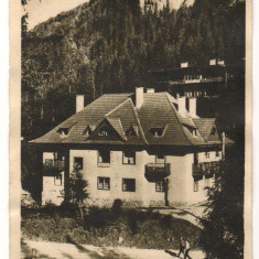 CPI (B8191) CARTE POSTALA - LACU ROSU (GHILCOS). CAMINUL C.C.S, RPR