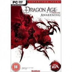 Dragon Age Origins: Awakening foto