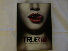 True Blood - First season - cod 1 foto