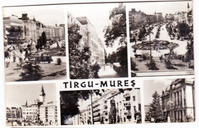 B66 RPR CP circulata 1968 Targu Mures mozaic,multipla foto