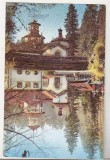 Bnk cp Sinaia - Foisorul - circulata, Printata