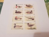 Cumpara ieftin guineea ecuatoriala/ pasari MNH nedantelat