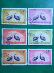 Guinea 1961 pasari fazani - serie stampilata foto