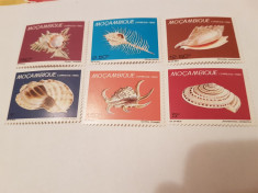 mozambic 1980 moluste si melci MNH foto