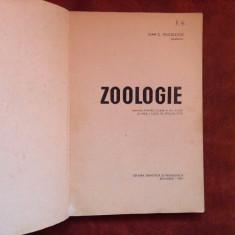 Manual scolar - Zoologie clasa X liceu si anul I licee speciale - 1967 / 240 pag foto