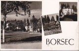 Bnk cp Borsec - Vedere - circulata, Printata