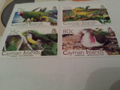 anglia/colonii/cayman 2006 pasari/ 4v. MNH foto