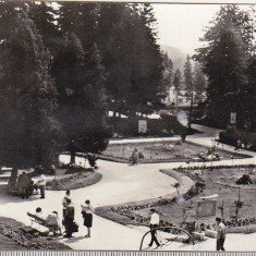 bnk cp Borsec - Vedere din parc - circulata