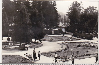 bnk cp Borsec - Vedere din parc - circulata foto
