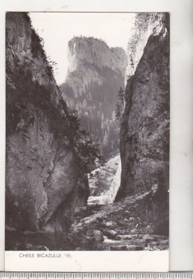 bnk cp Cheile Bicazului - Vedere - circulata foto