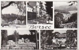 Bnk cp Borsec - Vedere - uzata, Circulata, Printata