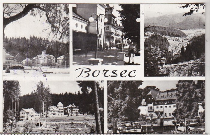 bnk cp Borsec - Vedere - uzata