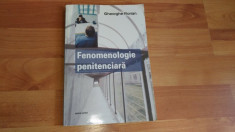 FENOMENOLOGIE PENITENCIARA-GHEORGHE FLORIAN foto