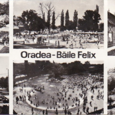 bnk cp Oradea - Baile Felix - circulata