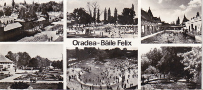 bnk cp Oradea - Baile Felix - circulata foto