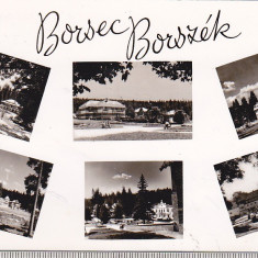 bnk cp Borsec - Vedere - circulata