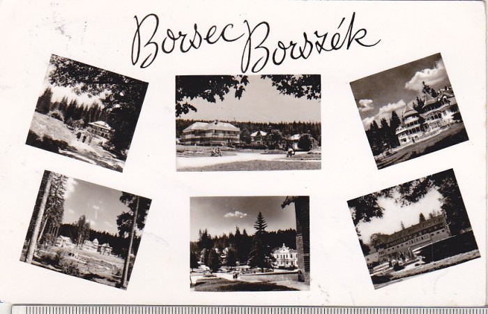 bnk cp Borsec - Vedere - circulata