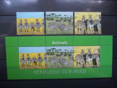 BURUNDI 2011 ? ANIMALE DIN AFRICA, ZEBRE, serie si bloc MNH, B37 foto