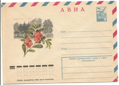 No(3) plic -RUSIA foto