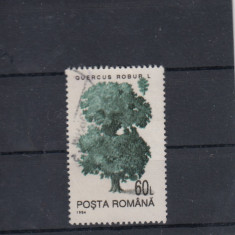 ROMANIA 1994 LP 1343 SI MI 4985 OW 2 SPECII FORESTIERE VAL 60 L FARA FILIGRAN
