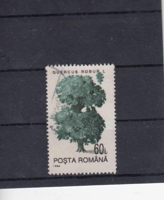 ROMANIA 1994 LP 1343 SI MI 4985 OW 2 SPECII FORESTIERE VAL 60 L FARA FILIGRAN
