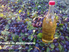 Palinca de: Prune, Pere, Cirese, Caise,Struguri 52 -53 grade foto