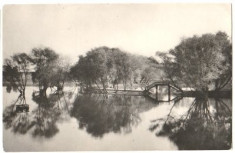 Bucuresti 1960 - lacul Herastrau foto