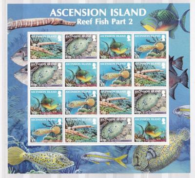 Ascension 2012 fauna marina MI 1170-73 kleib. MNH w40 foto