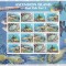 Ascension 2012 fauna marina MI 1170-73 kleib. MNH