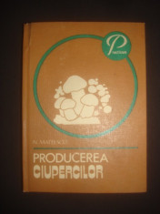 MATEESCU NICOLAE - PRODUCEREA CIUPERCILOR {1982} foto