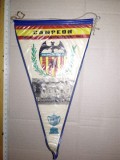 Cumpara ieftin LOT 15 FANIOANE / FANION FOTBAL STRAINE