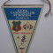 Fanion Steaua Bucuresti - Anderlecht, Cupa Campionilor Europeni 1986