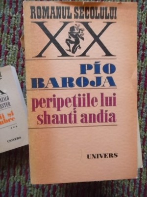 ROMANUL SECOLULUI XX-PERIPETIILE LUI SHANTI ANDIA foto