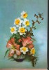CPI (B7962) FELICITARE DE PASTI - NARCISE, Necirculata, Fotografie