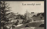 CPI (B7944) FELICITARE DE ANUL NOU, CARTE POSTALA - PEISAJ DE IARNA, Necirculata, Fotografie