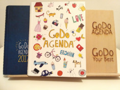 Agenda GoDo ( stickere, citate motivationale, structura smart) foto