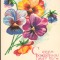 CPI (B7967) FELICITARE DE PASTI - PANSELE, PANSELUTE, RUSIA