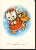CPI (B7981) FELICITARE DE PASTI, CARTE POSTALA - PISICUTA