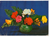 CPI (B7997) FELICITARE DE PASTI, CARTE POSTALA - GAROAFE, FREZII, Necirculata, Fotografie