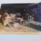 FOTO DOCUMENT(23 X 17,5 CM) ROMFILM DIN TIMPUL FILMARII PELICULEI DRUMUL OASELOR