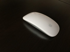 Mouse Apple Magic Mouse (MB829ZM) foto