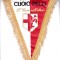 Fanion fotbal AS CUOIO PELLI - Campioni Toscani (Italia)