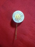 Insigna veche Asociatia Sportiva Timis ITA , metal si email ,d= 1,6 cm