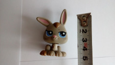 figurina animal lps lp27 foto