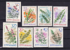 ROMANIA 1966 LP 634 PLANTE SUBACVATICE SERIE MNH foto