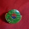 Insigna cu buton Coreea de Sud - Sport , L= 2,3 cm
