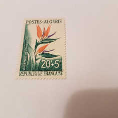 franta/colonii/algeria 1958 flora