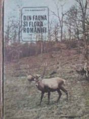 Din Fauna Si Flora Romaniei - Ion Simionescu ,389935 foto