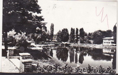 bnk cp Campina - Lacul din parc - circulata foto